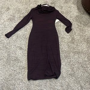 NWT turtle neck dress.